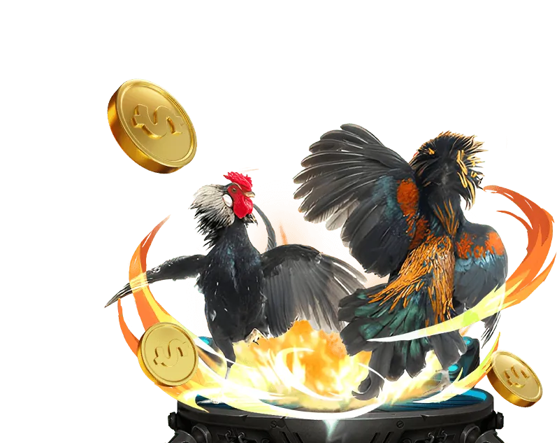 Thưởng nạp lại hàng tuần Ku Casino Kubet